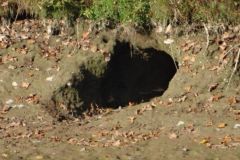 BauarbeitenLoesmuehle010