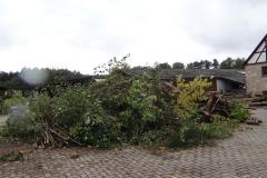 DSC02463