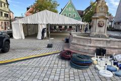 IMG_3222