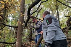 IMG-20231028-WA0004